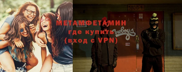 хмурый Алексин