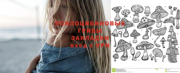 прущий лед Алексеевка